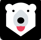 Conversion Bear