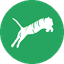 KSTiger Fancy Commerce logo