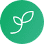 KiwiSprout logo