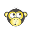 YellowWebMonkey Web Design logo