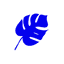 Pacific IQ logo