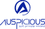 Auspicious Soft Pvt. Ltd logo