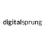 digitalsprung GmbH logo