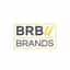 BRBU BRANDS INDIA PVT LTD logo