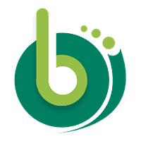 Brisk Developers