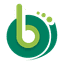 Brisk Developers logo