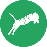 KSTiger Fancy Commerce