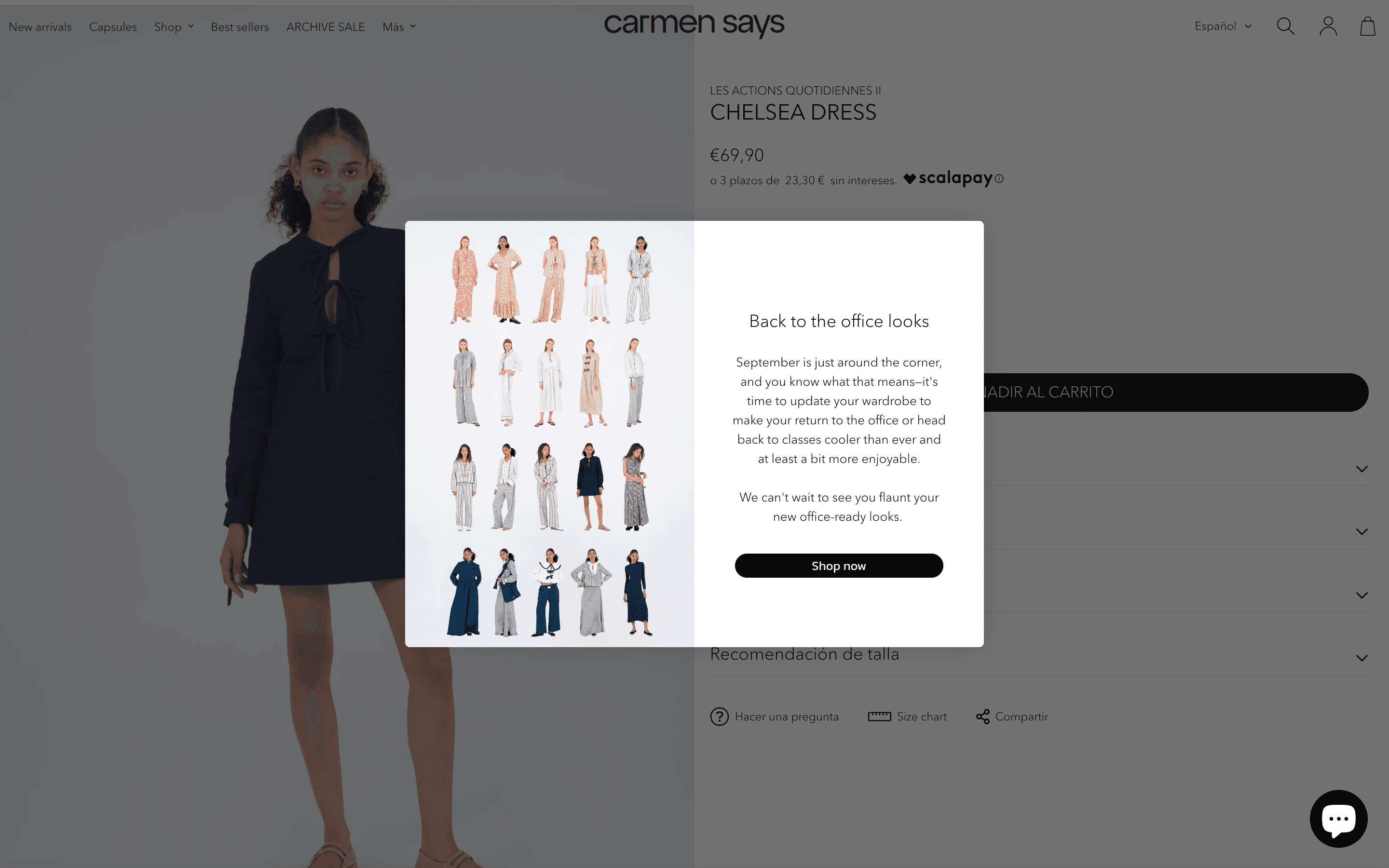 Carmensays screenshot 5