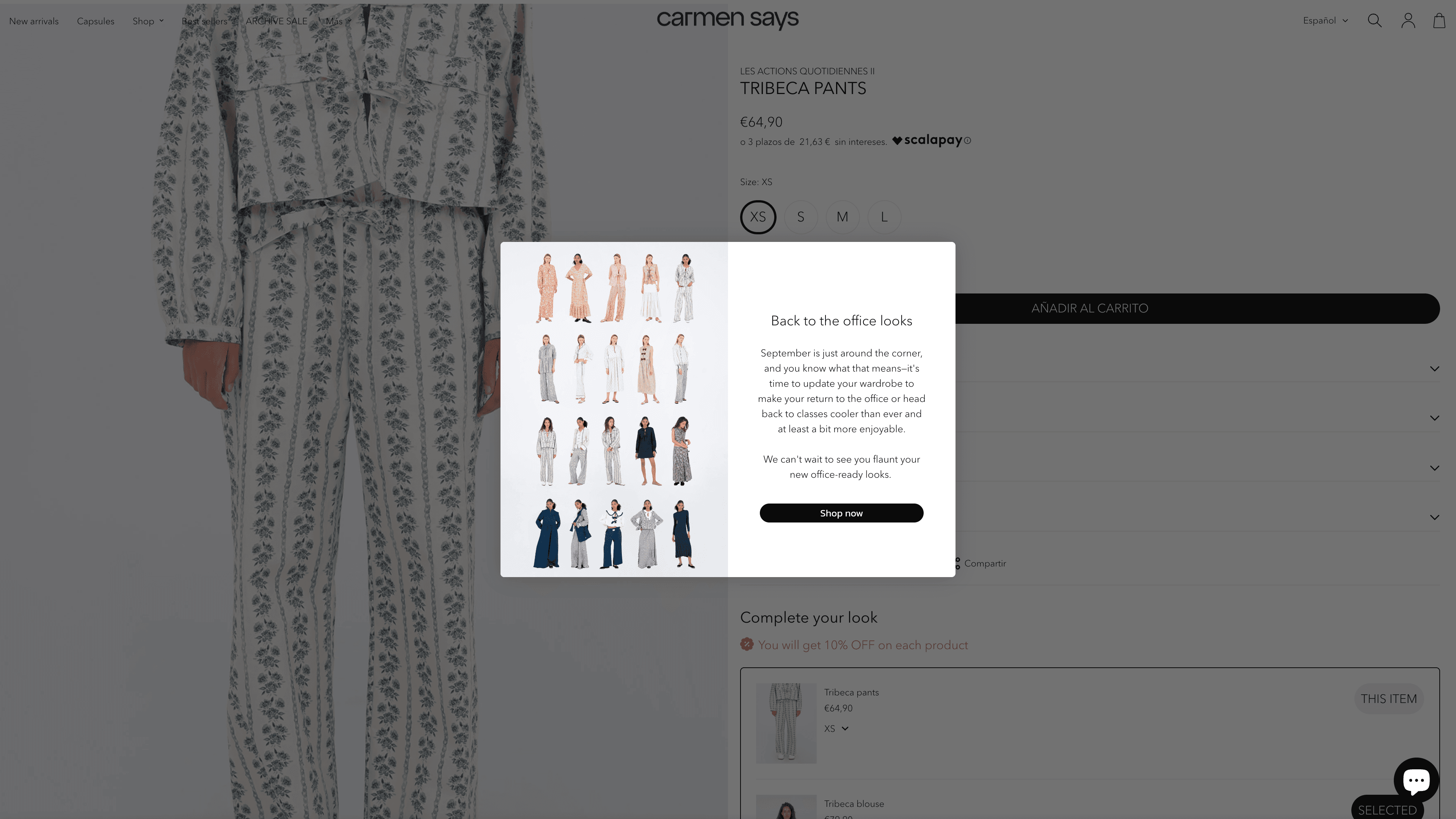 Carmensays screenshot 4