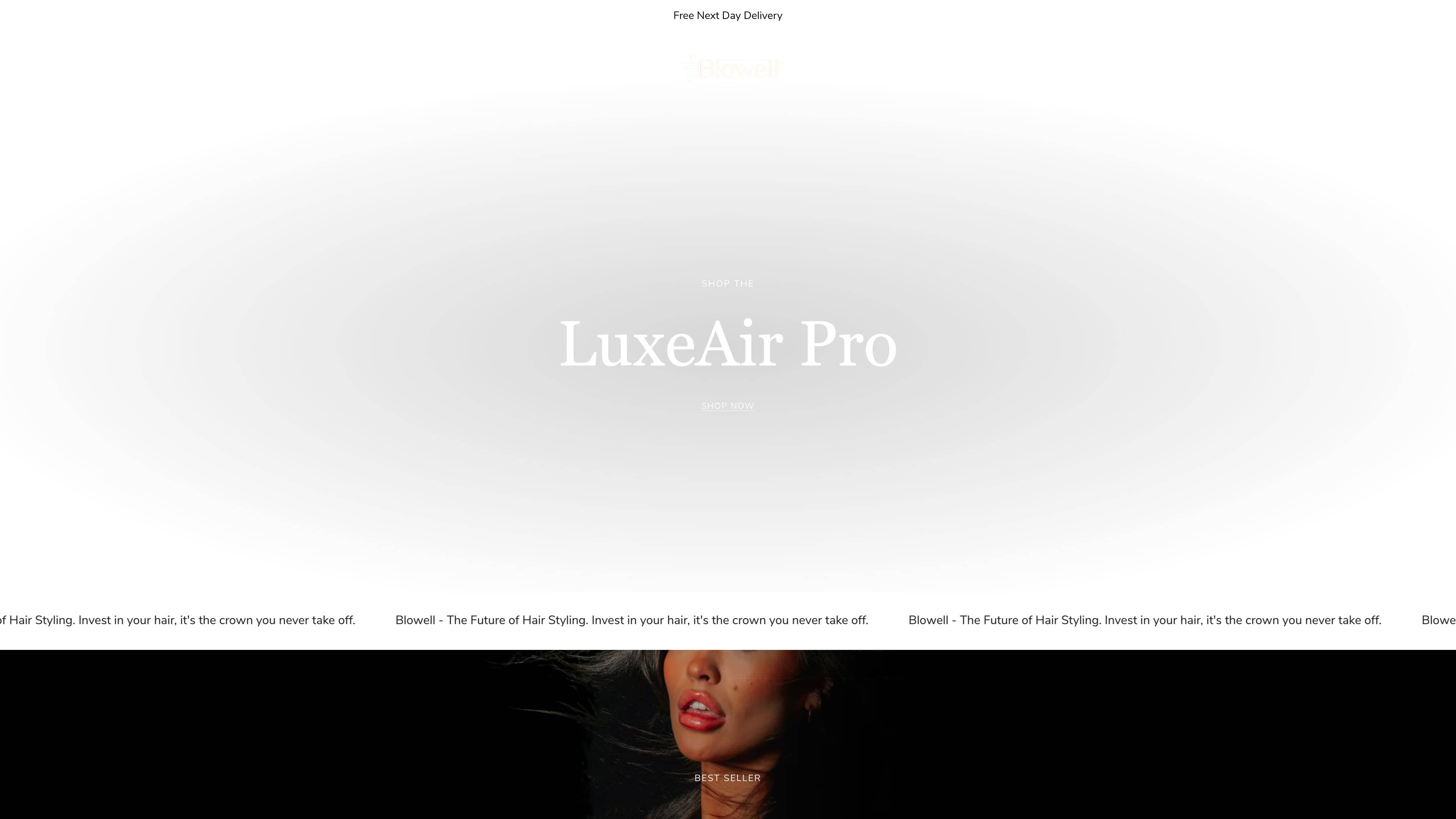 Blowellhair screenshot 3