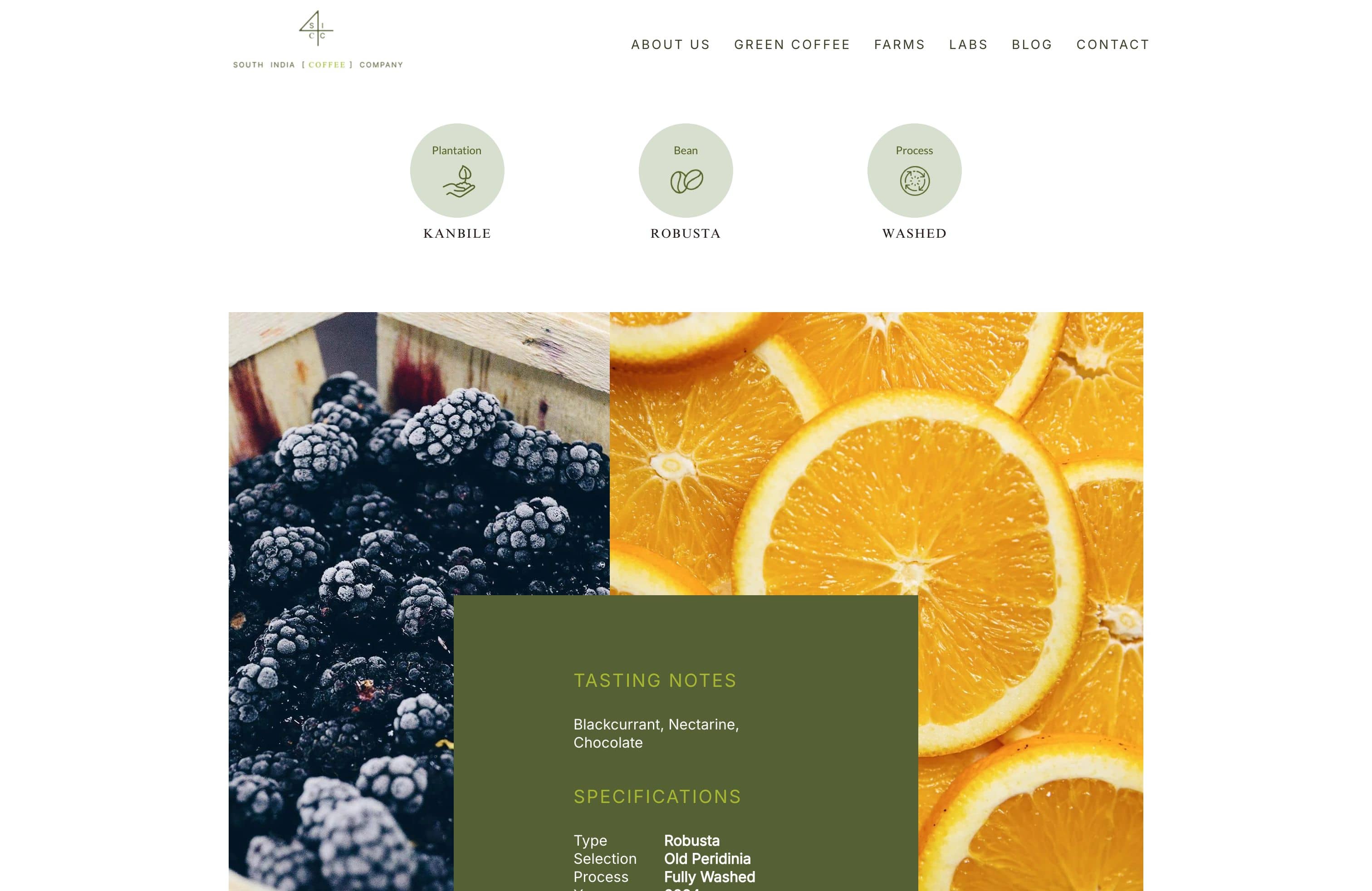 SOUTH INDIA COFFEE COMPANY screenshot 3